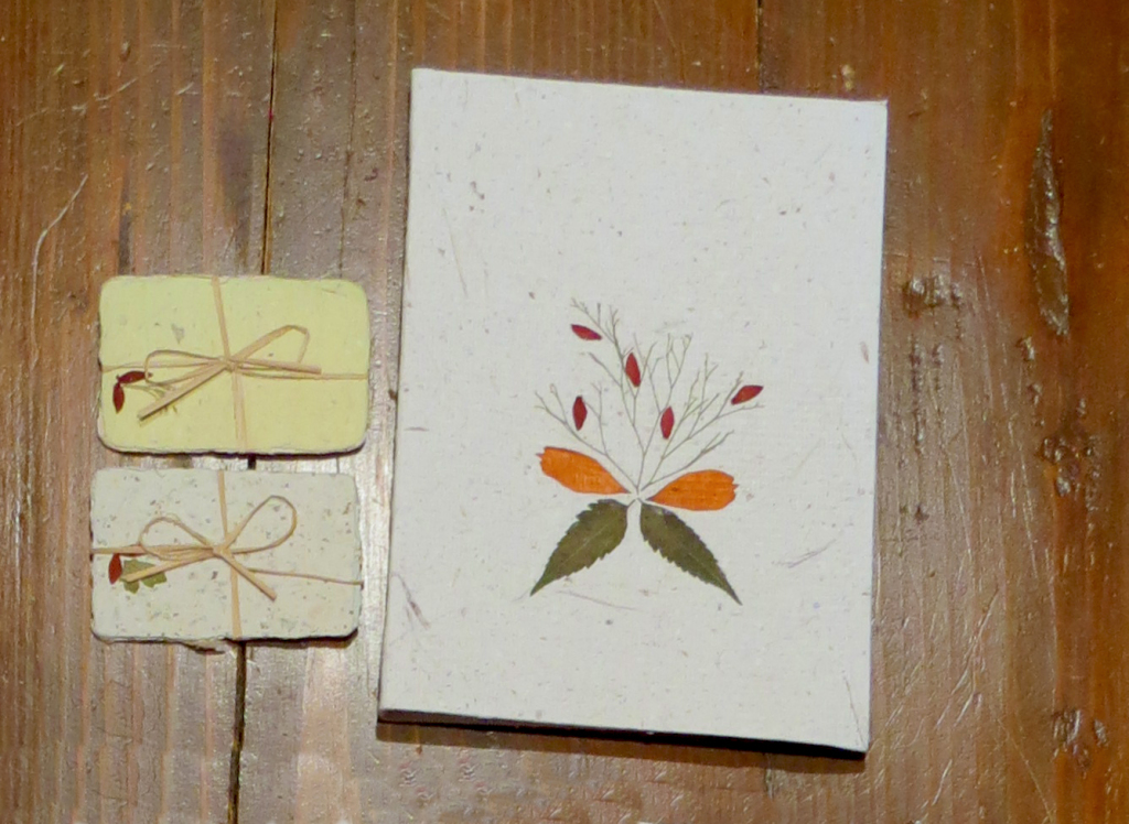 Bigliettini e Quadernetto - Dry Flowers