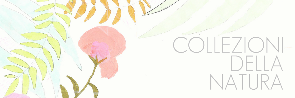 Artigianato Artistico - COLLEZIONI DELLA NATURA