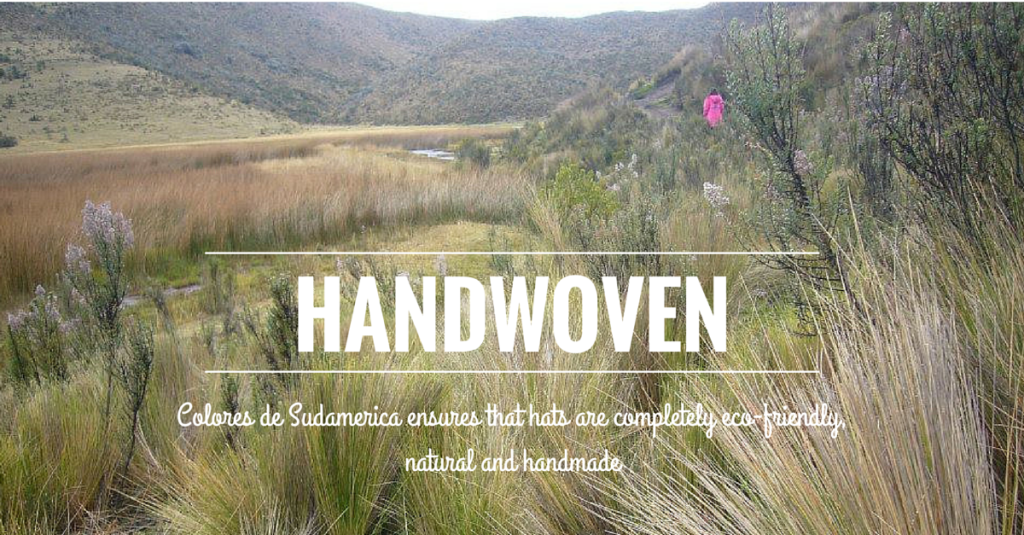 Handwoven Hats - Colores De Sudamerica